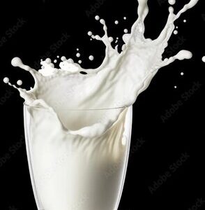 গরুর দুধ ( Cow Milk)